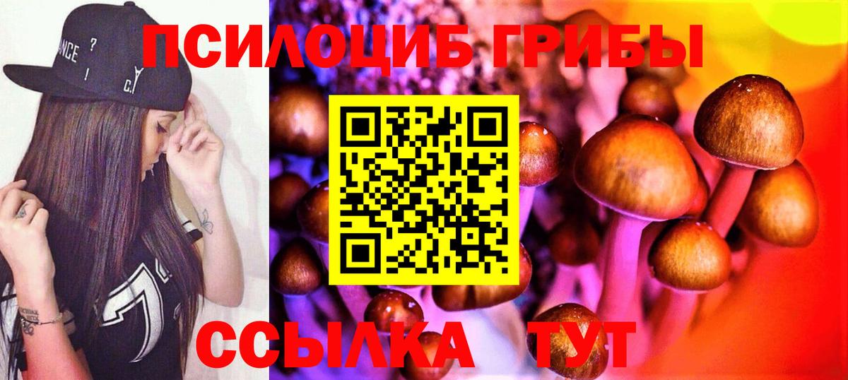 Галлюциногенные грибы MAGIC MUSHROOMS  Вход с VPN  Коркино 