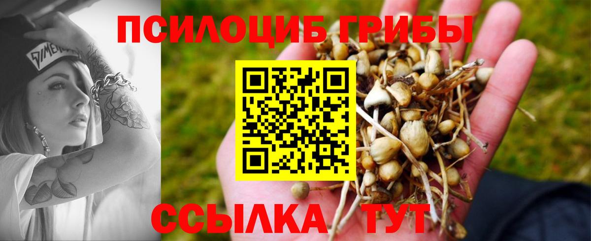 Галлюциногенные грибы Magic Shrooms Коркино