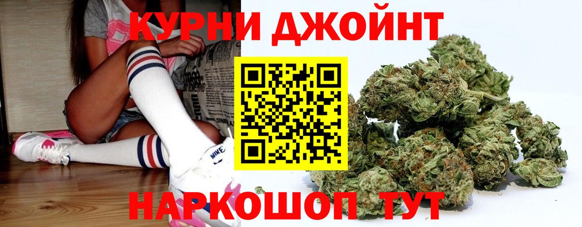 Каннабис планчик Коркино